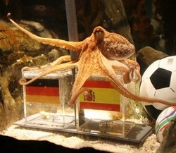 Pasukan Khusus untuk Paul