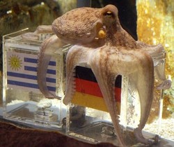 Uruguay Gagal Kalahkan Paul