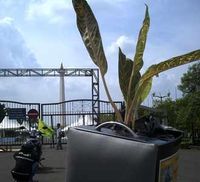 Ketika Kembang Ikut Touring