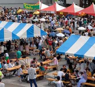 Festival Indonesia di Tokyo