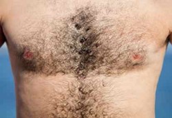 4 Makanan Penumbuh Bulu Dada Pria