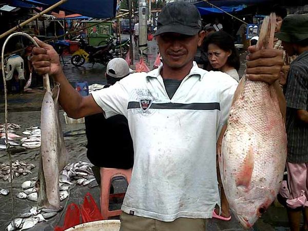 TDL Naik, Nelayan Menjerit