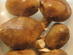 Jamur Jengkol yang Kaya Protein