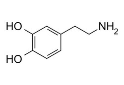 Dopamine