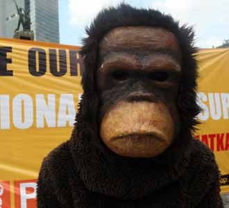 Aksi Peduli Orangutan