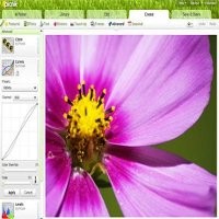 Google Integrasikan Picasa dengan Picnik