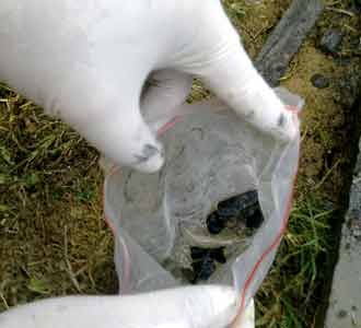 Kerangka Manusia Ditemukan di Selokan