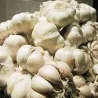 Harga Bawang Putih Capai Rp 26 Ribu Perkilo