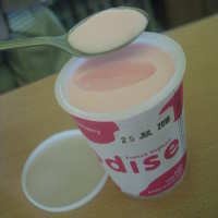 Nikmatnya Yoghurt Puding ala French Yoghurt Odise