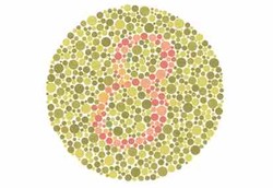 Kenali Gejala Buta Warna Pada Anak