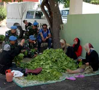 Indobatt Panen Tembakau