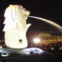 Tulis Kasus-kasus Hukuman Mati di Singapura, Penulis Inggris Ditahan