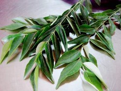 Keumamah yang Gurih Berlemak