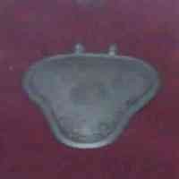 Kowari, Pengaman Khusus Miss V dari Tembaga