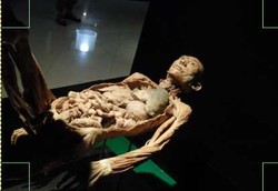 Jeroan Mayat yang Terpajang di Mal