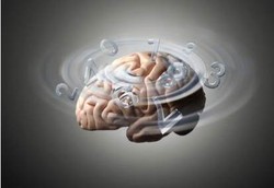 Berapa Banyak Sel Otak yang Mati Tiap Hari?