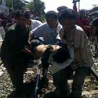 Beli Es Batu, Choliq Tewas Tertabrak KA Logawa 