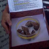 Ulang Tahun, Kejati Jateng Dapat Kado Bekicot