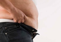 Si Gemuk Harus Bayar Pajak Lemak