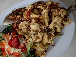 Bawal Cabe Garam yang Meruntuhkan Iman