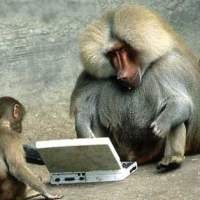 Situs Porno Lokal Lebih Sulit Dihadang