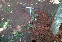 Cegah Banjir dengan Lubang Biopori