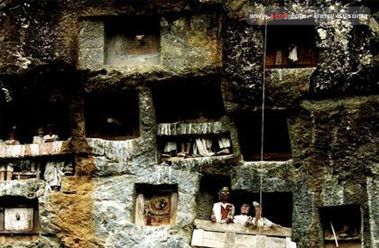 Tana Toraja