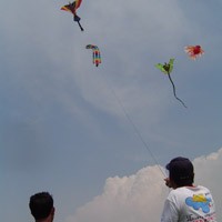 Layang-layang dari 4 Benua Hiasi Langit Jakarta