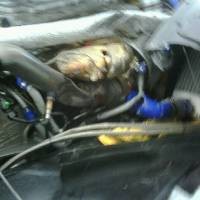 Rio Ditabrak dan Out di Race Pertama