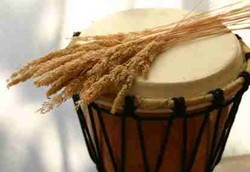 Seorang Musisi Tertular Antraks dari Gendang Kulit Lembu