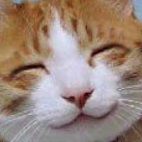  Survei: Pengguna iPhone Puas dengan Operatornya 