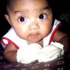 Chelsea Queen Andromeda, 5 Bulan; Perempuan; f