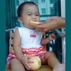 Shafa Amira, 8 Bulan; Perempuan; f