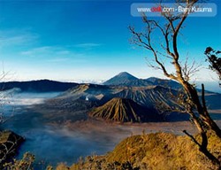 Bromo dan Jawa Timur