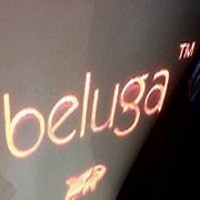 Beluga Silver Mengharuskan Konsumen Membeli Anting Patah 