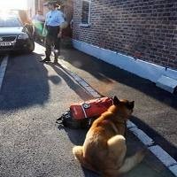 Suami Istri Ditangkap Polisi Prancis Menyusul Temuan 8 Mayat Bayi