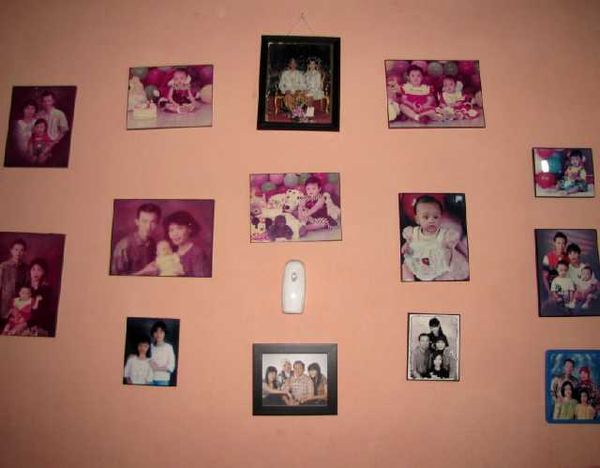 Melihat Rumah Jojo Keong Racun