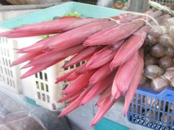 Bunga Kecombrang, Pencegah Masuk Angin