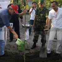 Iwan Fals Serukan Penggemar & Masyarakat Tanam Pohon