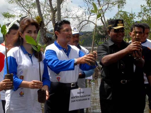 Fadel Muhammad Tanam Mangrove