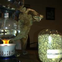 Setelah Dihalalkan MUI, Penjualan Kopi Luwak Meningkat