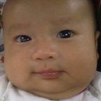 Antoni Zhafran Yapta, 2 Tahun; Lelaki; m