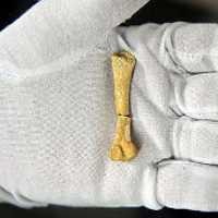 Fosil Manusia Berusia 67 Ribu Tahun Ditemukan di Filipina