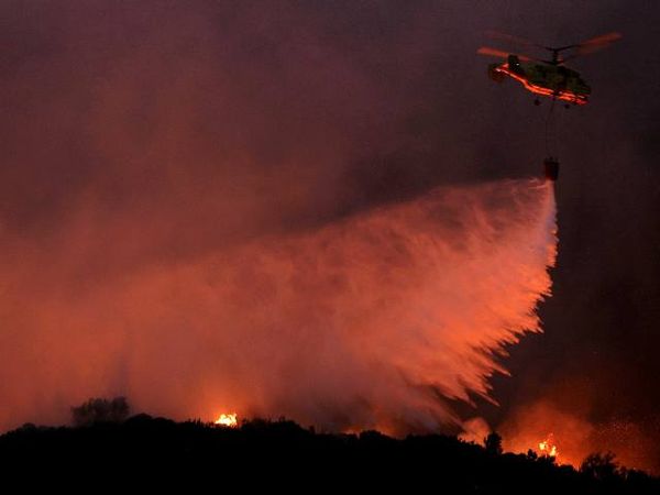 Kebakaran Hutan di Portugal