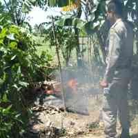 Gagal Buru PSK, Satpol PP Bakar Bangunan Pelacuran