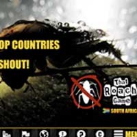 That Roach Game: Jadi Pembantai Kecoa Terhebat