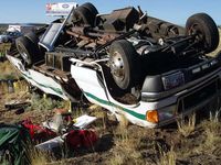 Bus Terbalik, 3 Turis Jepang Tewas