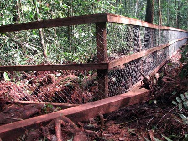 Kandang Pemangsaan Harimau