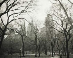 Penglihatan Jadi Kelabu Akibat Depresi