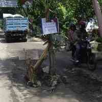 Penambang Pasir Liar Marak, Warga Tanam Pohon Pisang